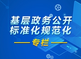 基層政務(wù)公開標(biāo)準(zhǔn)化